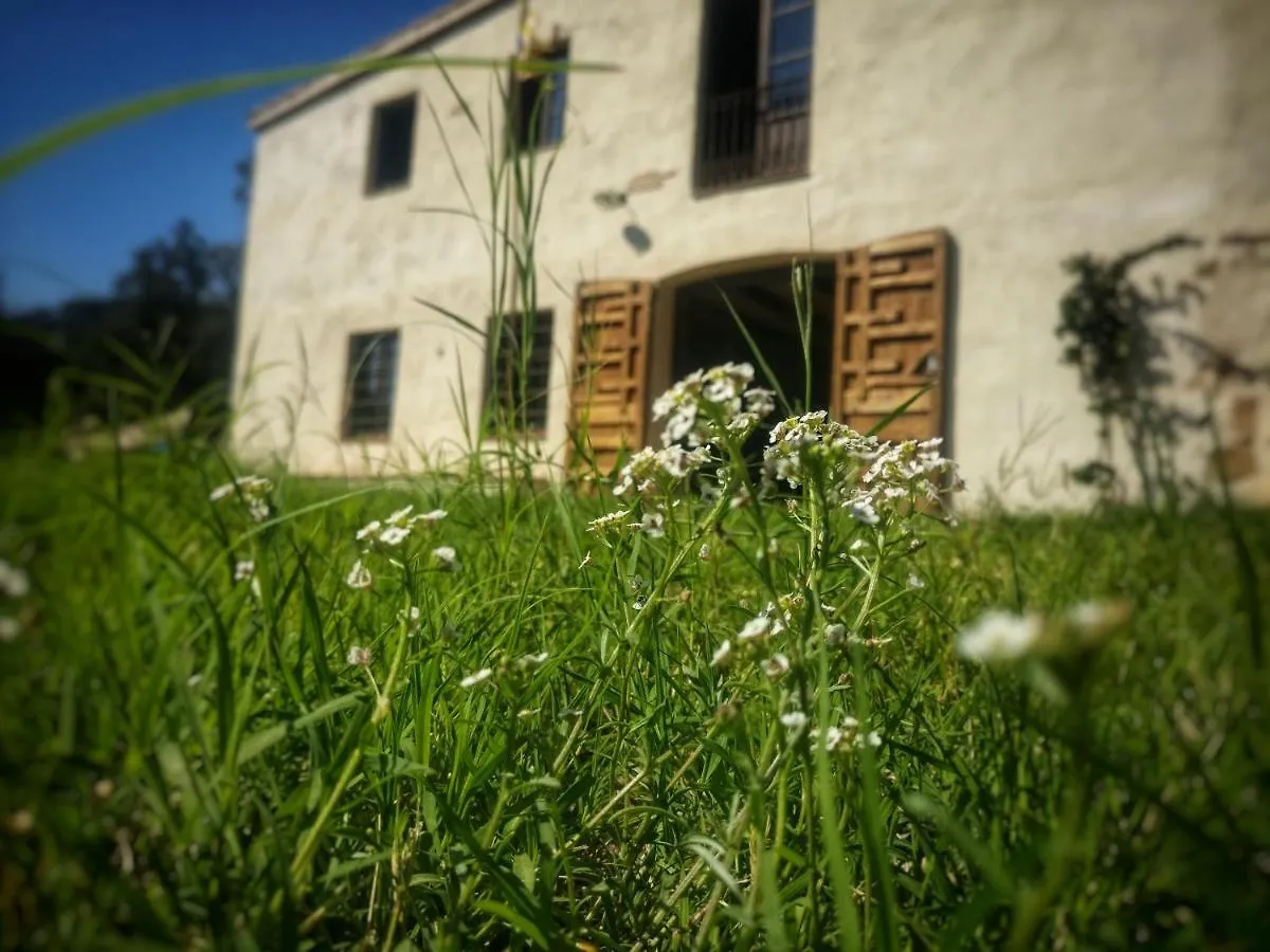 Masia Mediterranian Country House Ca L'Isidre Torrent Sant Cebria de Vallalta